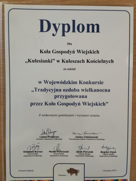489845731_1016707340604226_3235209345417997876_n (Copy)