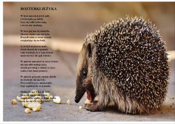 Rozterki jeżyka