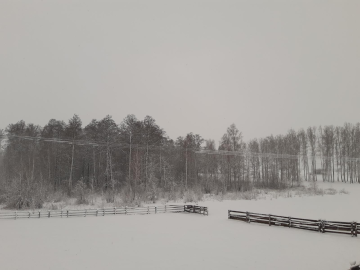 001210129