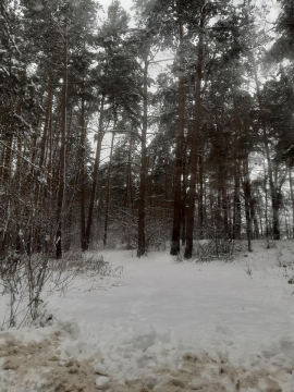 006210129