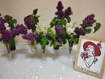 Majówka w wykonaniu Kgw Majówka w wykonaniu Kgw