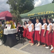 533132653_1457671502206921_5531265441771069677_n (Copy)