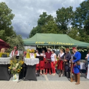 532390125_1827852748138185_6263044809175414045_n (Copy)