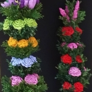 660432345_1293443416263949_6873871724595509960_n (Copy)