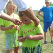 Piknik Rodzinny 11 lipca 2021 roku!